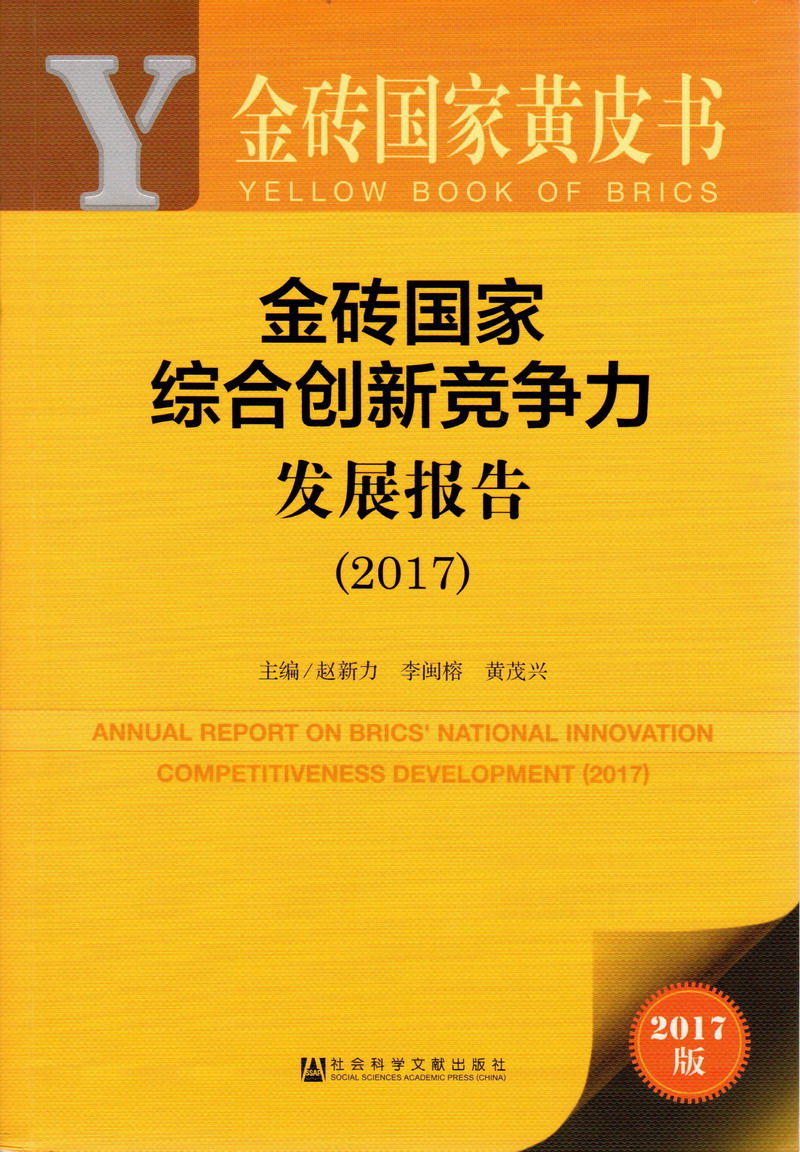 嫩逼被曰视频网金砖国家综合创新竞争力发展报告（2017）